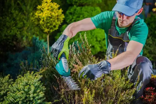 landscaping services Broken Bow